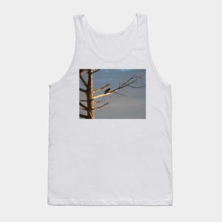 Crow on the dry tree Tank Top